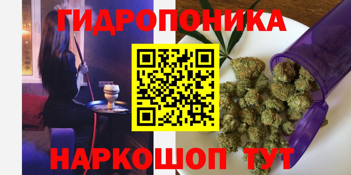 Воркута  Конопля конопля  Канабис сатива  Вход с VPN  Каннабис ГИДРОПОН 